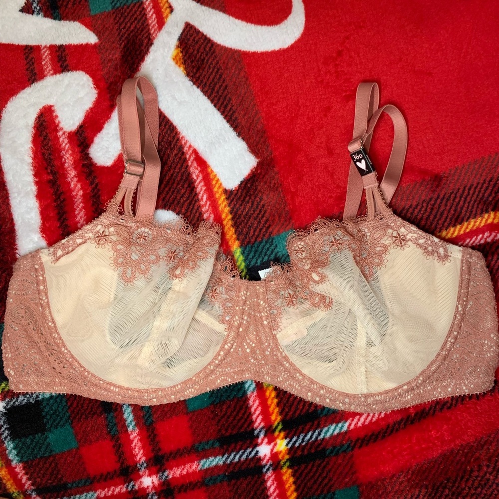 Victoria’s Secret Dream Angels Wicked NWT